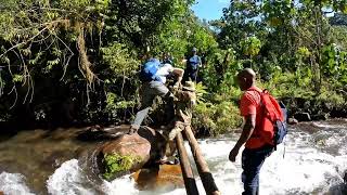 KIHURI FOREST  Aberdare National Park [upl. by Naggem629]