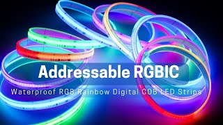 Addressable COB RGBIC led strips WS2811 [upl. by Curr498]