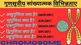 गुणसूत्र में संख्यात्मक विपथन  असुगुणिता Aneuploidyसुगुणिता Euploidy बहुगुणिता Polyploidy [upl. by Navar]