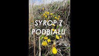 Syrop na kaszel z podbiału Coltsfoot cough syrup [upl. by Iharas]