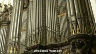 Widor  quotMattheusFinalquot from quotBachs Mementoquot played by Peter Van de Velde Antwerp Cathedral [upl. by Cally]