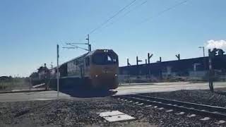 Kahikatea drive level crossing [upl. by Vasileior999]