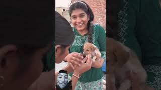 Chote puppy ka ilaj 😨vlog176 minivloging tranding ashortaday [upl. by Ettie175]