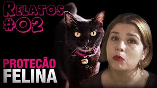 Proteção Felina 02  Histórias Assombradas [upl. by Alleiram373]