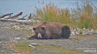 831 Naps on the Spit  September 10 2024 exploreorg [upl. by Josie612]