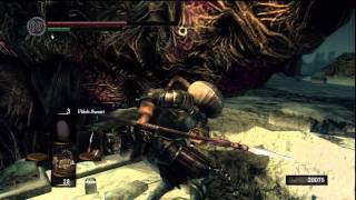 Dark Souls How To Beat the Undead Dragon Painted World of Ariamis [upl. by Sperry]