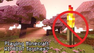 Playing Minecraft WO Torches Part 6 The More The Merrier [upl. by Denby224]