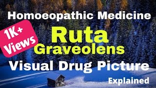 Ruta Graveolens Homoeopathic Medicine Explained  BHMS Study Practice  Ruta 30200 Uses [upl. by Felipe]