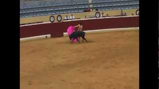 Bullfighting in Spain [upl. by Warner]