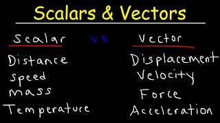 Scalars and Vectors [upl. by Eidualc]