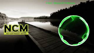 NIVIRO  Flashes  NCS 10 minutes  10 Minutes NocopyrightSounds NCM Remix [upl. by O'Doneven496]