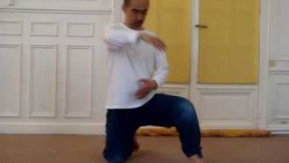 Toshi ICHIKAWA  Exercice Respiratoire en Mouvement « Pression Tan Den No 1 » [upl. by Ahsenra565]