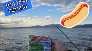 Ψαρέμα με HOT DOG στον Κάλαμο ✌🏻ψαρεμα ψάρεμα fishingvideo fish fishing greek fyp psarema [upl. by Kered]