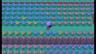 포켓몬스터 디아루가 BGM 26곡 메들리 with 피아노 Pokemon Diamond BGM Piano Medley 26 Songs [upl. by Asilehc609]