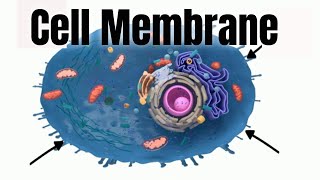 Cell membraneStructure and Function [upl. by Lorens]