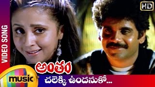 Antham Telugu Movie Songs  Chalekki Undanuko Video Song  Nagarjuna  Urmila  RGV  Mango Music [upl. by Oigroig]