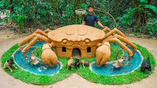 Build Dog House for Puppies in the Crab mud house surrounded by fish pond [upl. by Redla961]