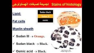 2020 Stains of histology تجميعة لصبغات الهستولوجى [upl. by Nerok363]