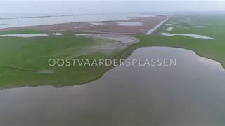 Oostvaardersplassen Lelystad Nederland  Drone Video 4K [upl. by Allianora297]