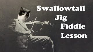 Swallowtail Jig  Basic Fiddle Lesson [upl. by Atwahs796]