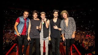 You amp I  One Direction Where We Are 2014 at San Siro [upl. by Akaya]