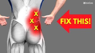 How to Fix Lower Back Pain off to the Side [upl. by Eedia664]