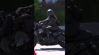 HarleyDavidson motorcycle harleydavidson bikelife harleygirl [upl. by Agate73]