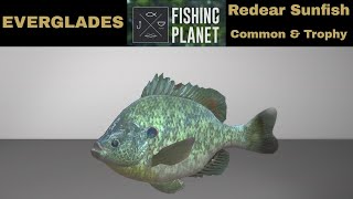 Fishing Planet Everglades redear Sunfish Common amp Trophy [upl. by Rafiq]