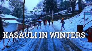 Kasauli in Winters  Himachal  February  Snowfall  Weekend Getaway  Ep1  Shashwat Khare [upl. by Hazlett]