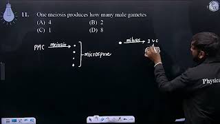 One meiosis produces how many male gametes [upl. by Akenehs]