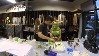 Shrek Makeup Timelapse [upl. by Mirth]