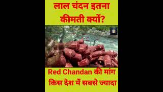 quotWhy is Red Sandalwood So Expensive Top Importers Revealedquot [upl. by Fronniah]