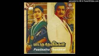 Vanna Nilave Vaigai Nadhiye Female rare mp3  Paadatha Thenikkal 1988  வண்ண நிலà® [upl. by Bourque]