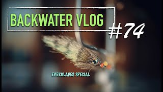 Tying an Everglades Special Baitfish Fly with FC FIBERS BACKWATER VLOG 74 [upl. by Ulah]