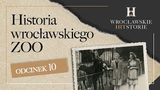 Od 75 lat to polski ogród zoologiczny Losy wrocławskiego ZOO  Wrocławskie HITStorie  Wrocław TV [upl. by Felizio691]