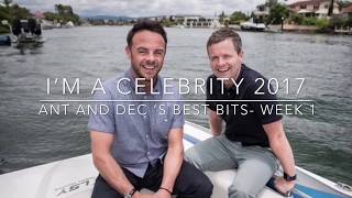 Ant and Dec Funny moments I’m A Celebrity Get Me Out Of Here week1 [upl. by Trocki618]