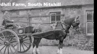 Nitshill Past and Present [upl. by Heindrick732]