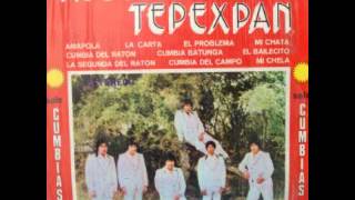 cumbia del ratonmp4 tropical tepexpan [upl. by Anrehs]