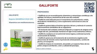 GALLIFORTE [upl. by Neddy]