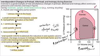 Response to accelerationtypes of shock and regulation physiology of CVS [upl. by Neirrad]