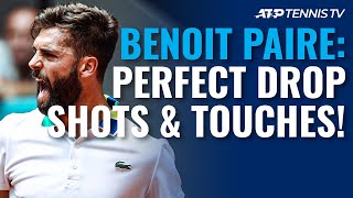 33 PERFECT Benoit Paire Drop Shots amp Touches 😍 [upl. by Eatnuahc357]