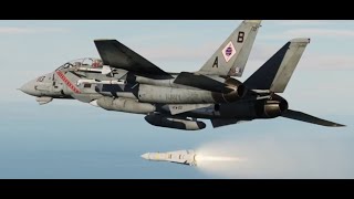 F14 DCS missile air air AIM9 AIM7 AIM54  Verrouillage ennemi en PLM [upl. by Nada21]