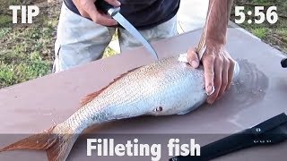 How to Fillet Fish [upl. by Atteuqahc]