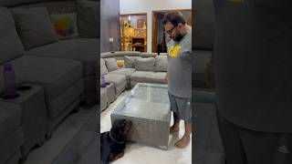 Rottweiler Bubzee Ne Liya Rahul Se Bada Panga shorts dogs rottweiler trending trendingshorts [upl. by Ameerahs]