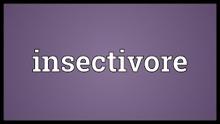 Insectivore Meaning [upl. by Swarts]