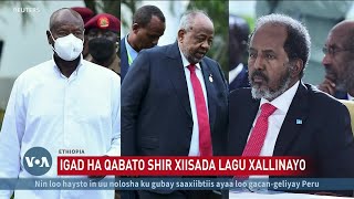 Itoobiya oo IGAD ka dalbatay shir ku saabsan xiisadda Soomaaliya [upl. by Sukcirdor]