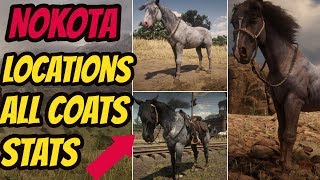 Red Dead Redemption 2 Nokota LOCATION amp ALL COATS amp STATS GOOD HORSE GUIDE [upl. by Inigo869]