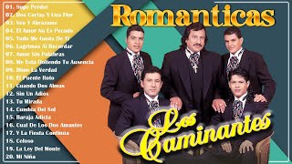 LOS CAMINANTES 30 GRANDES ÉXITOS ROMÁNTICOS  LOS CAMINANTES SUS MEJORES CANCIONES [upl. by Lepp]