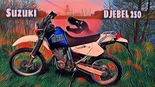 Suzuki Djebel 250 xc  Честный отзыв владельца [upl. by Laeno576]