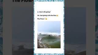 Go With The Flow 🥴 funny comedy roast entertainment [upl. by Edmee]